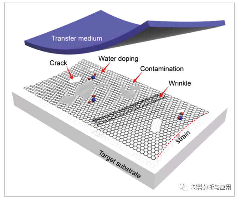 Professor Liu Zhongfan Leads the Charge: Revolutionizing Graphene Applications with Cutting-Edge Transfer Technology