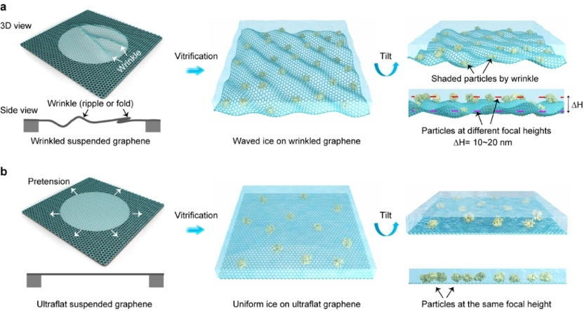 Pioneering High-Resolution Imaging: Peng Hailin's Team Unveils Revolutionary Graphene/Ice Film in Nature Methods